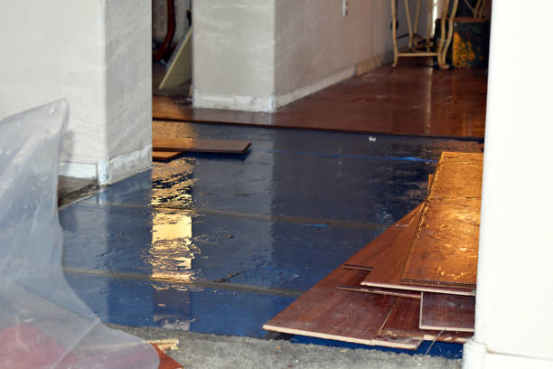 Professional Water Damage Repair technician working in Elwood, IN
